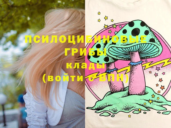 ГАЛЛЮЦИНОГЕННЫЕ ГРИБЫ Богородицк