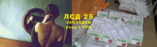 ГАЛЛЮЦИНОГЕННЫЕ ГРИБЫ Богородицк