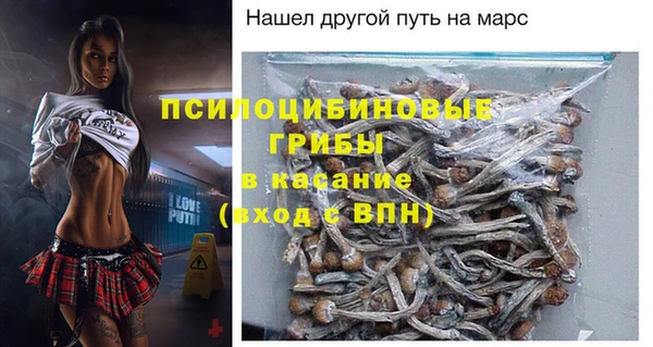 ГАЛЛЮЦИНОГЕННЫЕ ГРИБЫ Богородицк