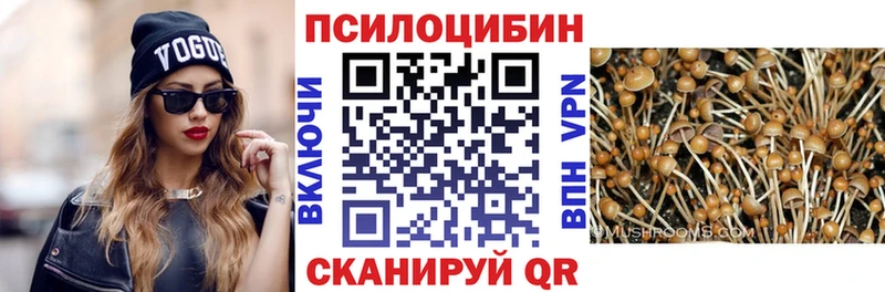 Галлюциногенные грибы мицелий  Купить закладки  Гдов 