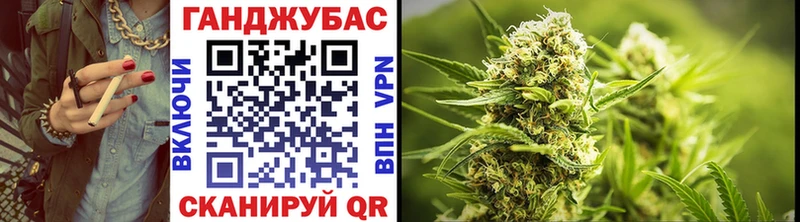 Купить закладки  Гдов  Шишки марихуана гибрид 